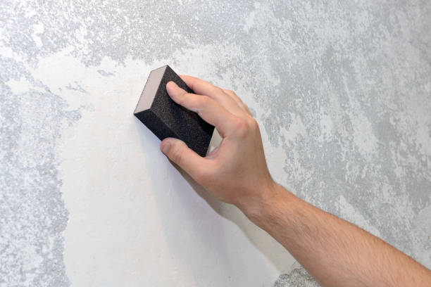 Mold Remediation for Rental Properties in Bayshore, NC