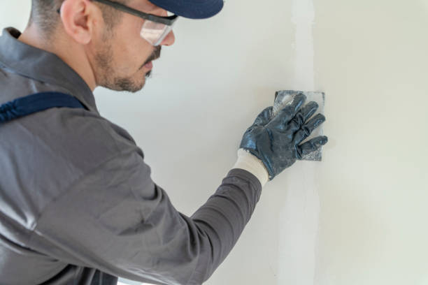 Trusted Bayshore, NC Mold Removal Experts