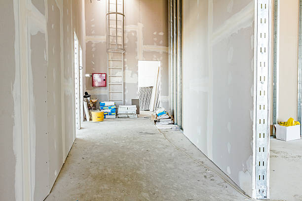 Best Mold Remediation for Vacation Homes  in Bayshore, NC